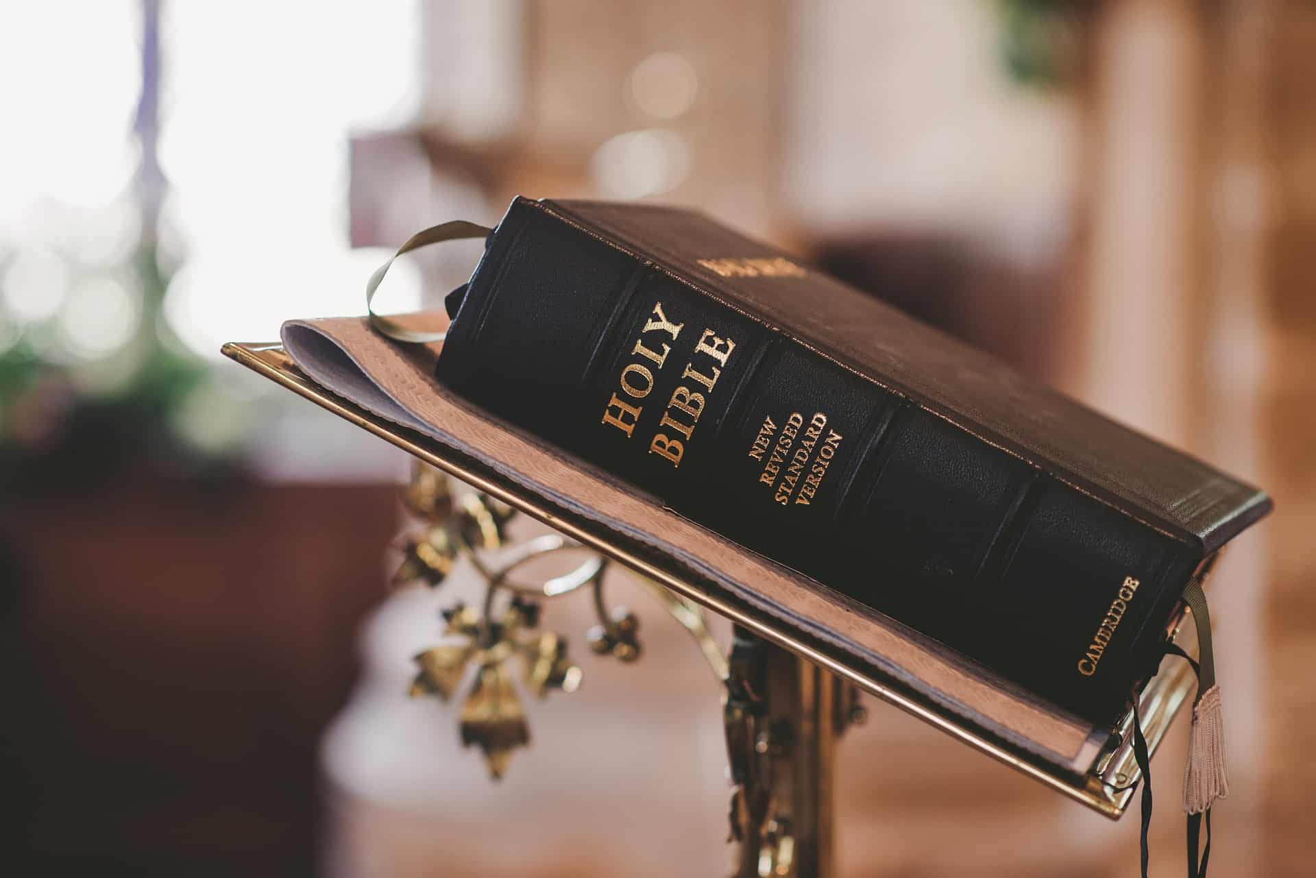 32 Bible Sales Statistics 2023 WordsRated