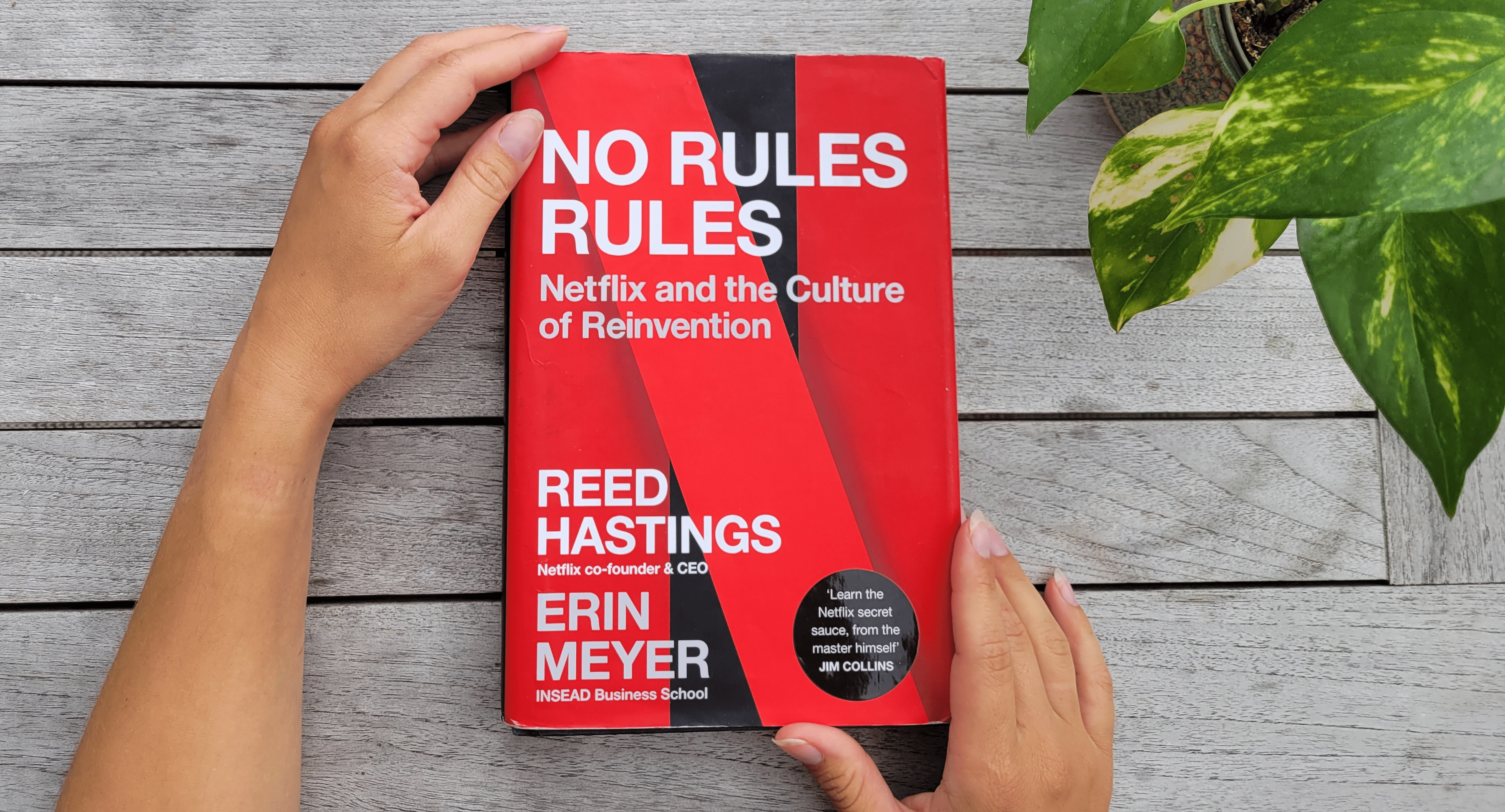 Summary – No Rules Rules: Netflix and the Culture of Reinvention by Erin Meyer and Reed Hastings