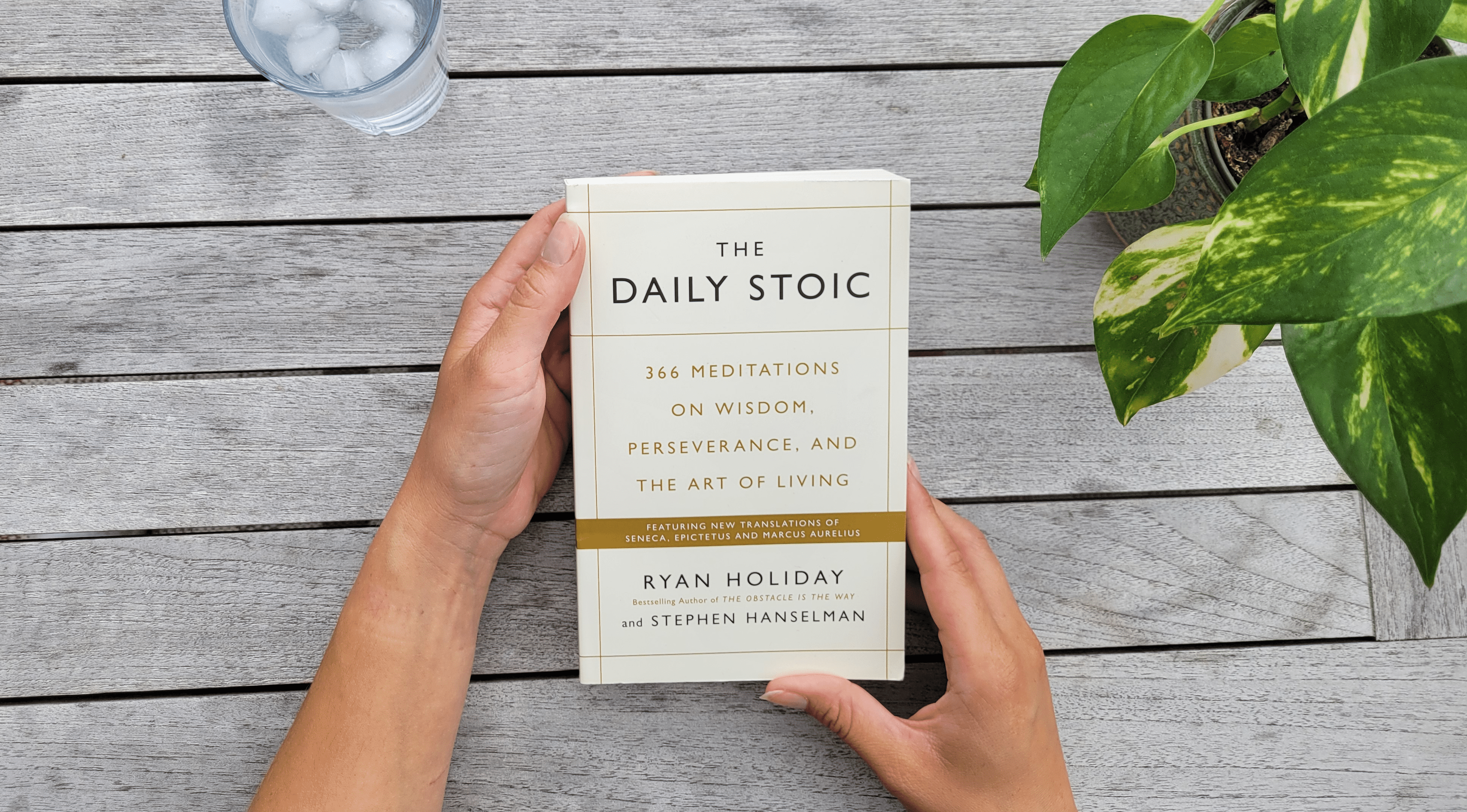 Summary – The Daily Stoic: 366 Meditations on Wisdom, Perseverance, and the Art of Living by Ryan Holiday and Stephen Hanselman
